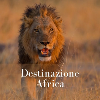 Destinazione Africa Logo